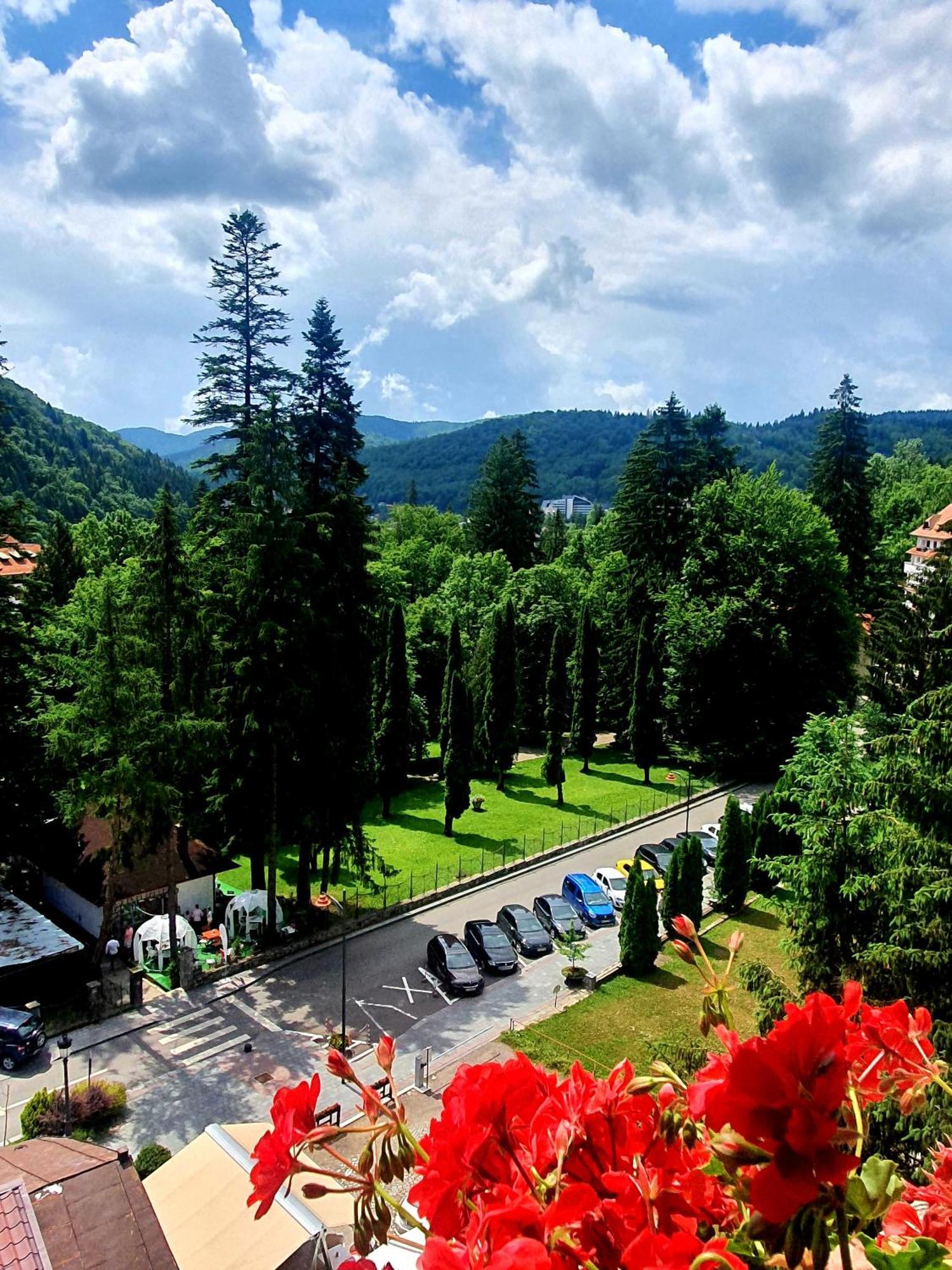 Laura Apartments Σινάια Εξωτερικό φωτογραφία